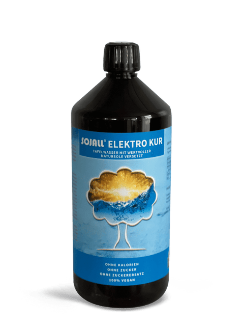 BIO Sojall Elektro Kur 1000ml - Salzburger Ölmühle e.U.
